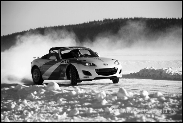 0221_h_Kall_Svezia_2011.jpg